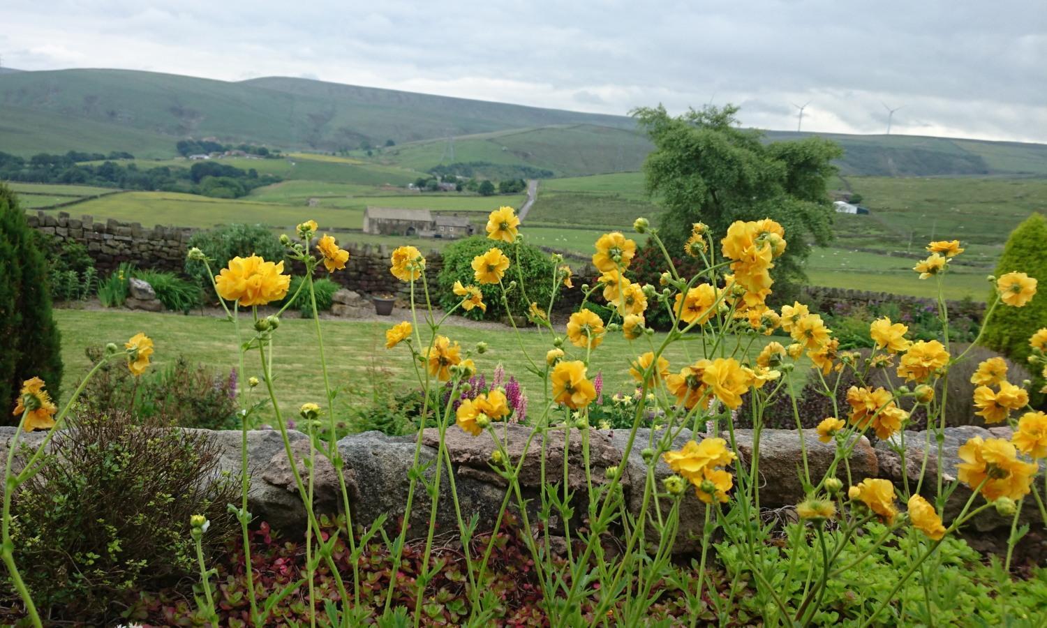 Parkin House Guest House Todmorden Exterior foto